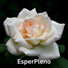 EsperPleno
