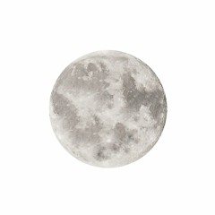 김피비