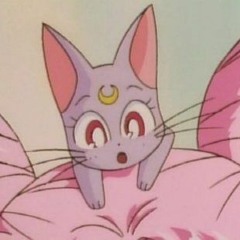 Stream Gdg 或る化け猫の恋物語 어느 요괴 고양이의 사랑이야기 By Gdg Listen Online For Free On Soundcloud