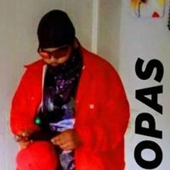 Mopas Hauk