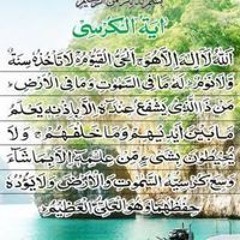 احمد محمد شلبي