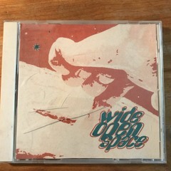 WideOpenSpace