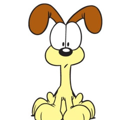 daisy5o6