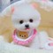 Teacup