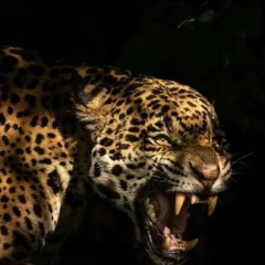 The future is inestimate