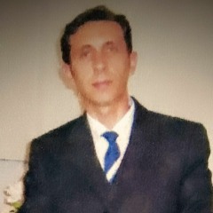 Amin Bahadori