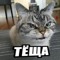 dolba_drocher
