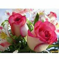 Ahlam Sabry