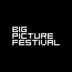 Big Picture Festival