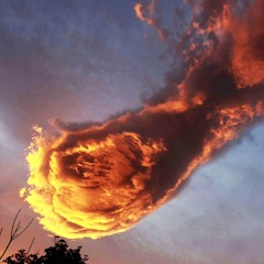 Asperatus