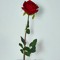 Eslam Ezz