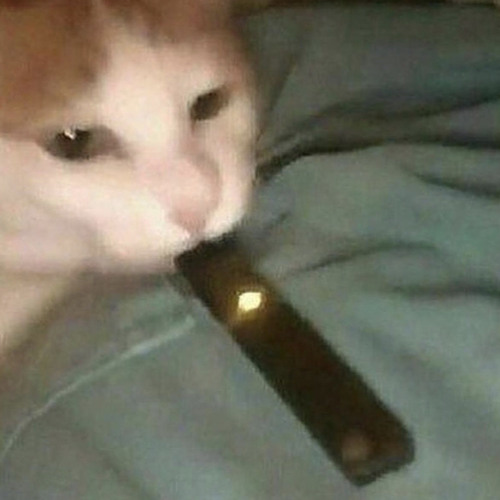 Stream Vape Cat Music Listen To Songs Albums Playlists For Free On Soundcloud
