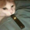 Vape Cat