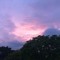 purplehaze