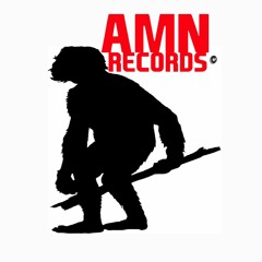 AMN RECORDS
