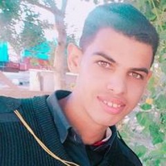 النسر الجارح النسر الجارح