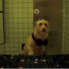 Jens dnb