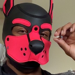 GOODBOYVENUS