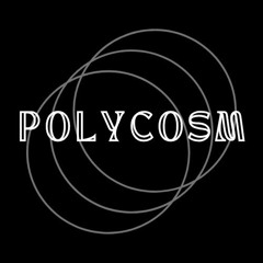 Polycosm