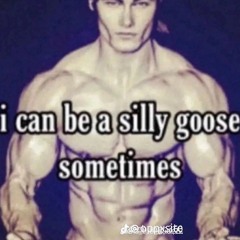 verysillylifter