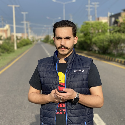 Sarib Ali Khan ⭐’s avatar