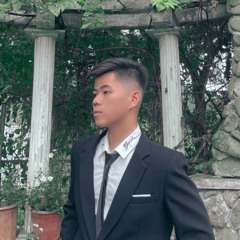 Việt Hùng Jr.