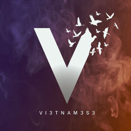 Vinahouse Mix cover art