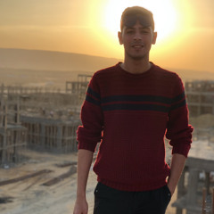Mohammed Hany