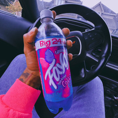 4300capo