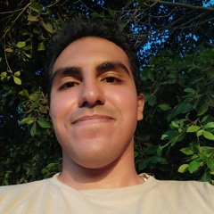 Ahmed Mohsn