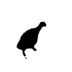 Tr
