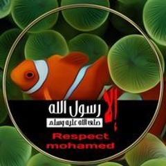 Mostafa Helmy