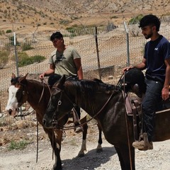 zohar eitan marmelshtein