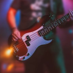 bedroombandsbassman