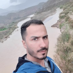 mh.habibi
