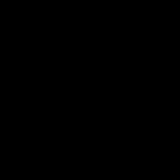 maya_rllt