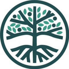 The Orchard