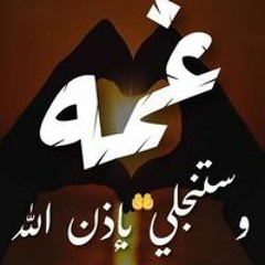 محمود سعيد عبد الله