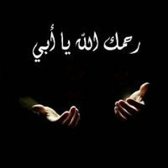 محمود ربيع