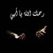 محمود ربيع