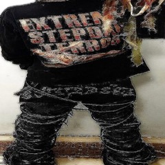 mcSfr