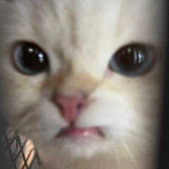 M I A