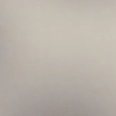 🤍
