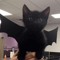 DRACO