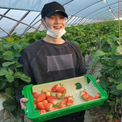 솔