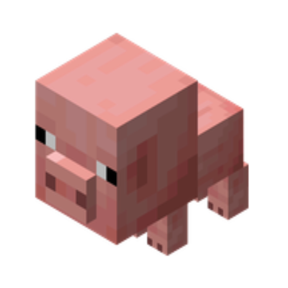 babybacon