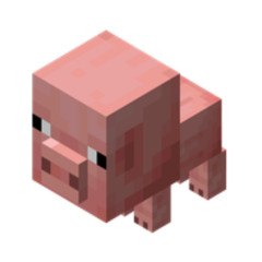 babybacon