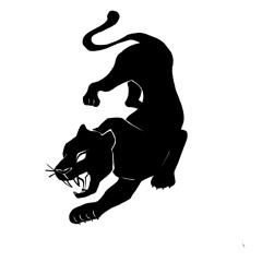 Black Leopard