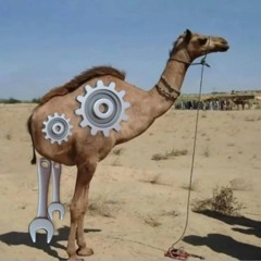 settings camel