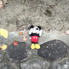 ポトフボーイ